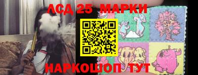 дмт Аргун