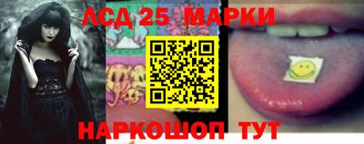 дмт Аргун