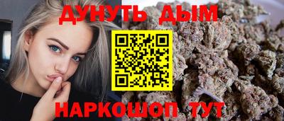 дмт Аргун