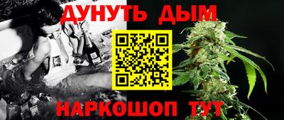 дмт Аргун