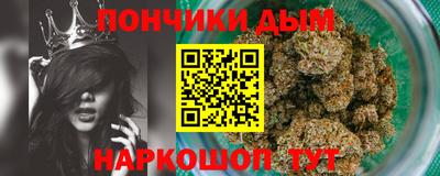 дмт Аргун
